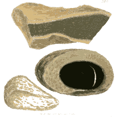 Cream slab and stone with black hollow - British Mineralogy, Volume 3 - 1809