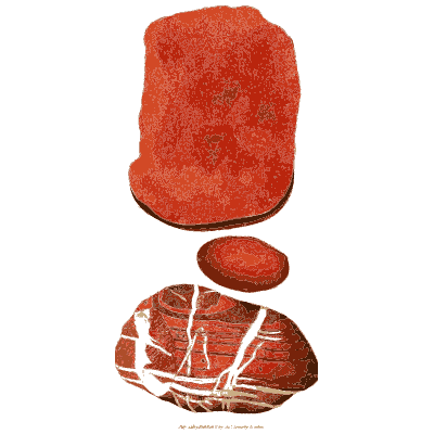 Bright red veined stones - British Mineralogy, Volume 3 - 1809