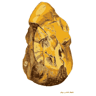Golden stone with crystals inside - British Mineralogy, Volume 3 - 1809