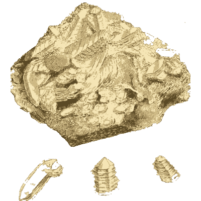 Pale rock with fossil pieces - British Mineralogy, Volume 3 - 1809