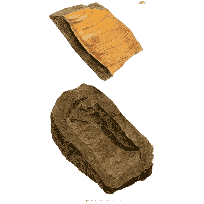 Orange layered slab and dark block - British Mineralogy, Volume 3 - 1809