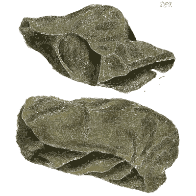 Folded layered grey rock - British Mineralogy, Volume 3 - 1809
