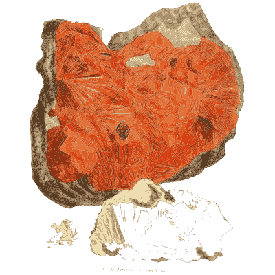 Radiating orange-red fibrous mineral - British Mineralogy, Volume 3 - 1809
