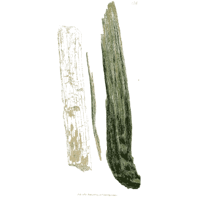 Pale and dark mineral splinters - British Mineralogy, Volume 3 - 1809