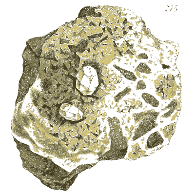 Olive cellular rock with small crystals - British Mineralogy, Volume 3 - 1809