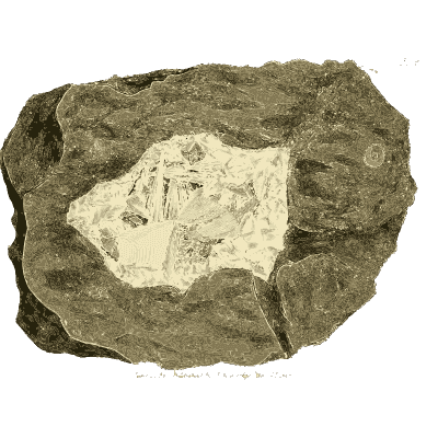 Dark rock with a pale crystal patch - British Mineralogy, Volume 4 - 1811