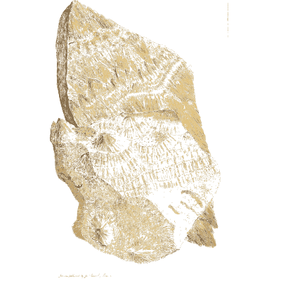 Layered pale stone wedge - British Mineralogy, Volume 4 - 1811