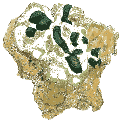 Dark green prisms in pale rock - British Mineralogy, Volume 4 - 1811