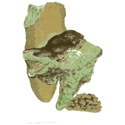 Green crust over brown rock - British Mineralogy, Volume 4 - 1811