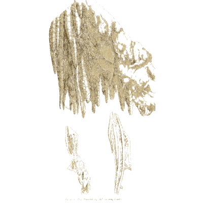 Spray of pale blade crystals - British Mineralogy, Volume 4 - 1811