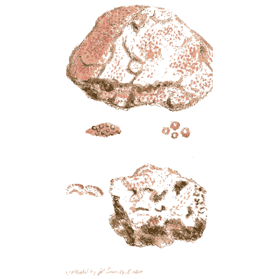 Pink-flushed stone pieces - British Mineralogy, Volume 4 - 1811
