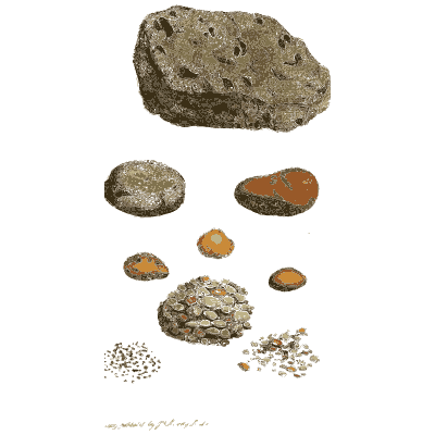 Grey rock with pebbles and a granular ball - British Mineralogy, Volume 4 - 1811