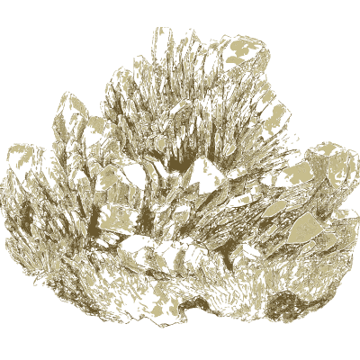 Wide spray of pale blade crystals - British Mineralogy, Volume 4 - 1811