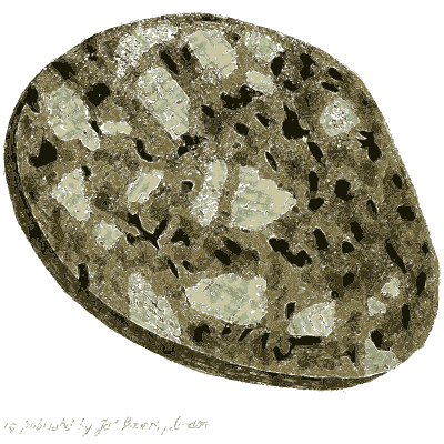 Dark oval stone with pale fragments - British Mineralogy, Volume 4 - 1811