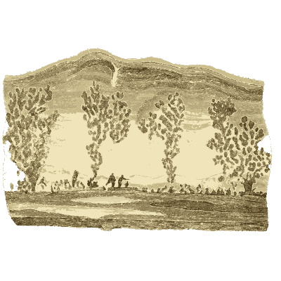 Landscape stone with tree-like markings - British Mineralogy, Volume 4 - 1811