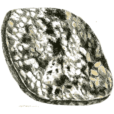 Dark oval stone mottled with white - British Mineralogy, Volume 4 - 1811