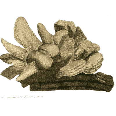 Pale lens-shaped crystals on dark base - British Mineralogy, Volume 4 - 1811