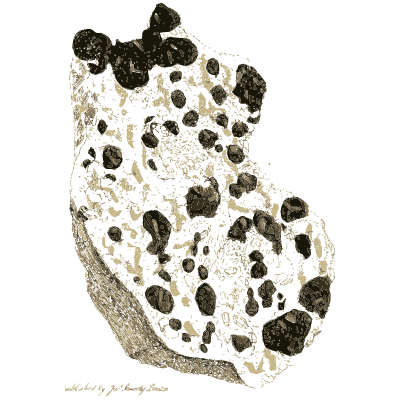 Pale rock with dark nodules - British Mineralogy, Volume 4 - 1811