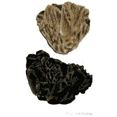 Brown and black crystalline pieces - British Mineralogy, Volume 4 - 1811