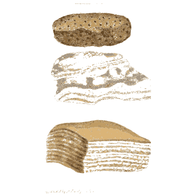 Banded pebble and layered stones - British Mineralogy, Volume 4 - 1811