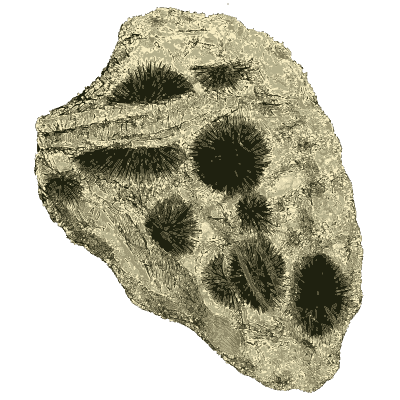 Pale rock with dark star-shaped blotches - British Mineralogy, Volume 4 - 1811