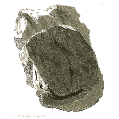 Rough grey rock with a smooth face - British Mineralogy, Volume 4 - 1811