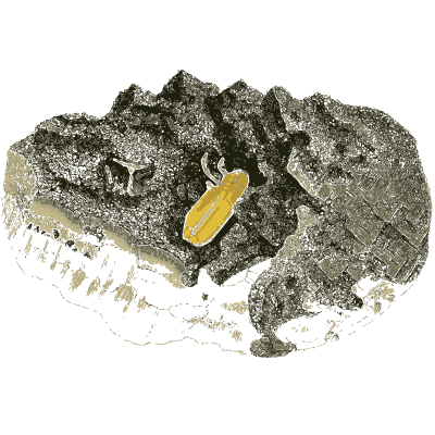 Yellow crystal in a dark rock cavity - British Mineralogy, Volume 4 - 1811