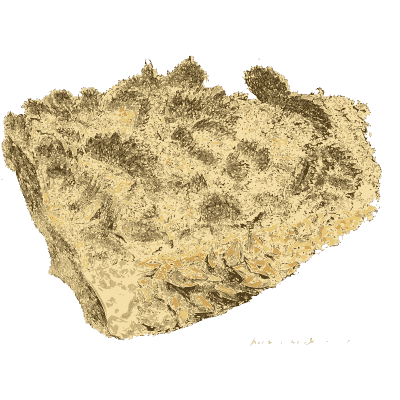 Pale rock bristling with fine crystals - British Mineralogy, Volume 4 - 1811