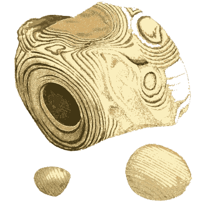 Ringed banded stone and pebbles - British Mineralogy, Volume 4 - 1811