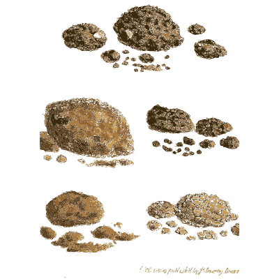 Brown grainy mineral lumps - British Mineralogy, Volume 4 - 1811