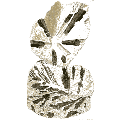 Pale stones with black radiating wedges - British Mineralogy, Volume 4 - 1811