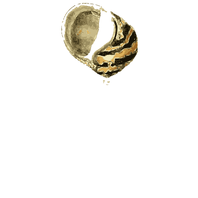 Small banded snail shells - The Conchological Illustrations - 1841