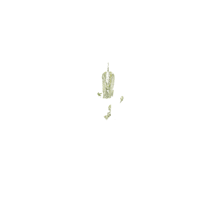 Small lacy fern with fertile spike - English Botany, or Coloured Figures of British Plants, Volume 12 - 1863