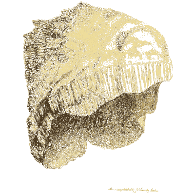 Golden fibrous mineral crust - Exotic Mineralogy, Volume 1 - 1811