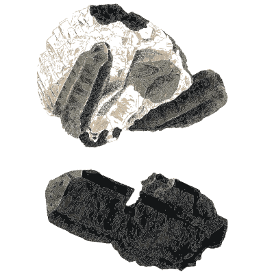 Black crystal blades in pale crust - Exotic Mineralogy, Volume 1 - 1811