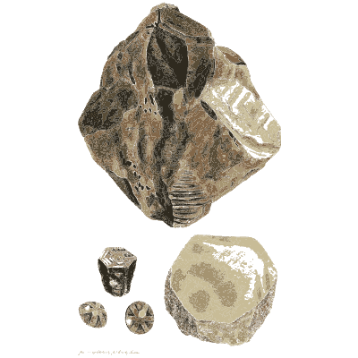 Dark rock with pale crystal faces - Exotic Mineralogy, Volume 1 - 1811