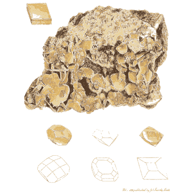 Gold crusted rock with crystal figures - Exotic Mineralogy, Volume 1 - 1811