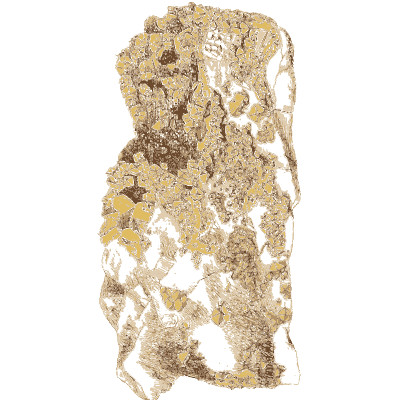 Golden patches in pale rock - Exotic Mineralogy, Volume 1 - 1811