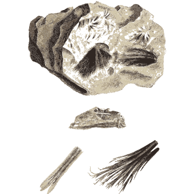 White star-shaped crystal sprays - Exotic Mineralogy, Volume 1 - 1811