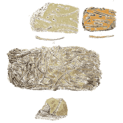 Rock slabs with fibrous shell layers - The Mineral Conchology of Great Britain, Volume 1 - 1812