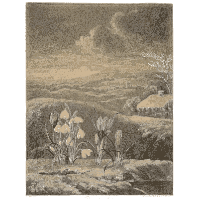 Snowdrops in a winter landscape - The Temple of Flora - 1807