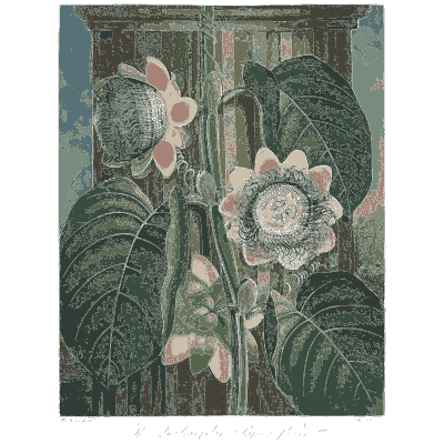Pink passion flower on a column 02 - The Temple of Flora - 1807