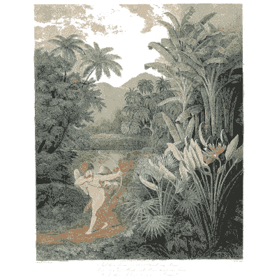 Tropical garden with a cherub 02 - The Temple of Flora - 1807