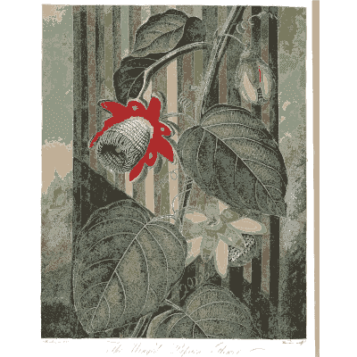 Red hooded flower on a vine 02 - The Temple of Flora - 1807