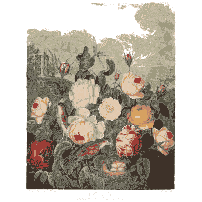 Roses with a bird's nest 02 - The Temple of Flora - 1807