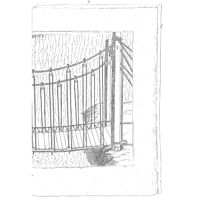 Suspension bridge on a curved cable - Machinae Novae - 1616