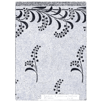 Stencilled sprig border - Étude de la Plante - 1903