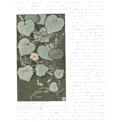 Horned poppy stained glass panel - Étude de la Plante - 1903