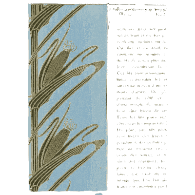 Iris appliqué textile border - Étude de la Plante - 1903