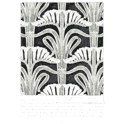 Freesia repeat pattern - Étude de la Plante - 1903